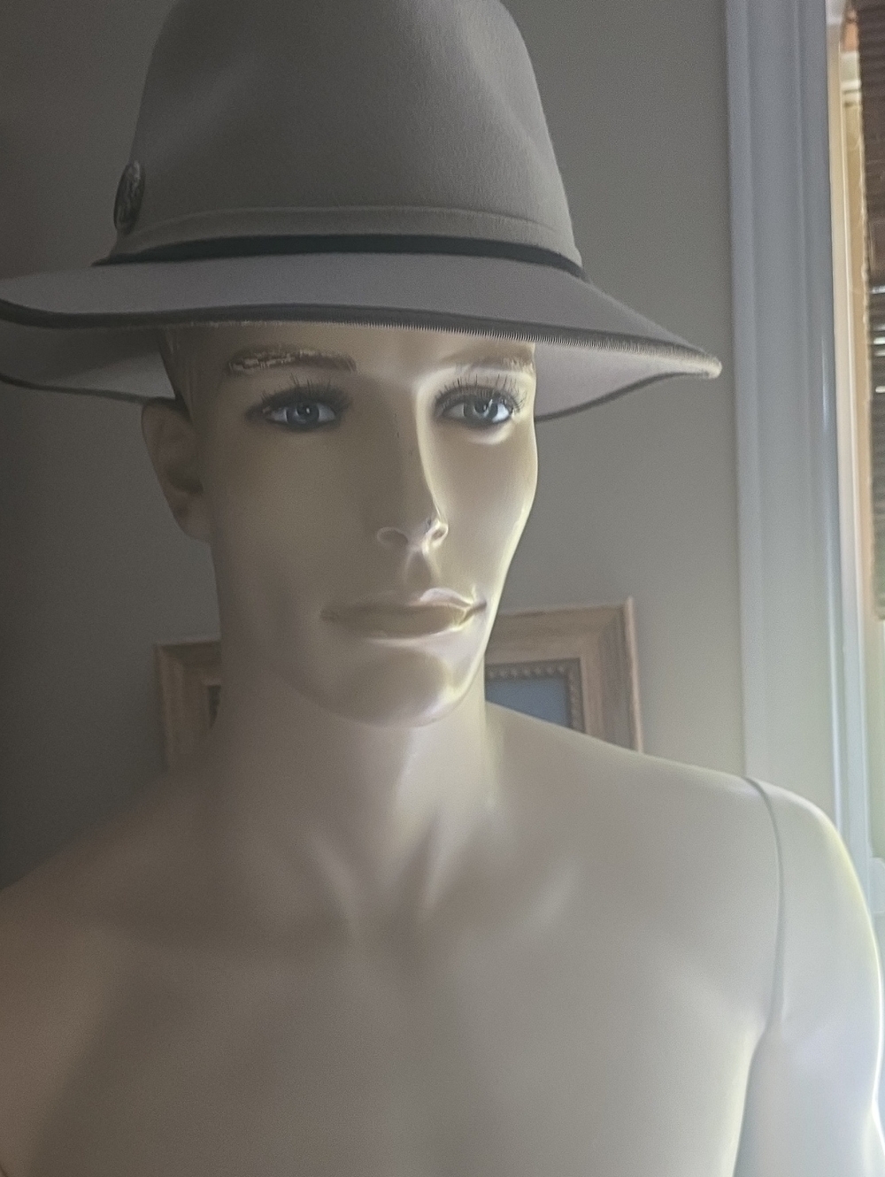 Men's Classic Wide-Brim Fedora Hat in Taupe